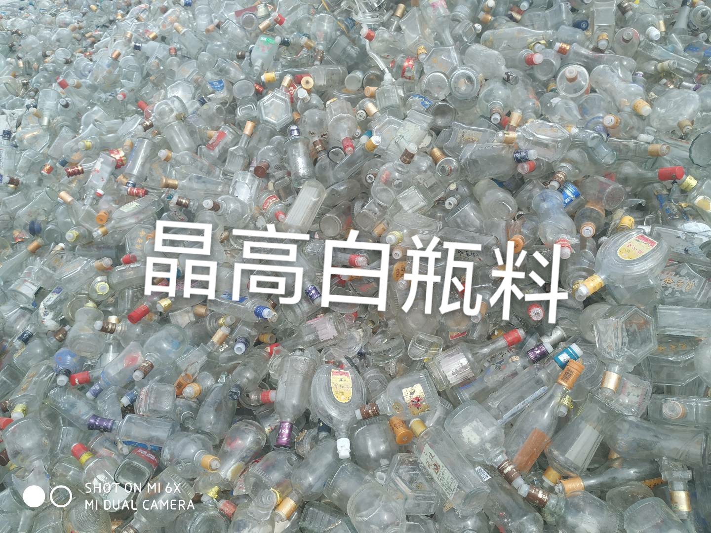 姜堰区晶高白瓶料回收